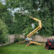 Best Sod Installation  in Pocasset, MA